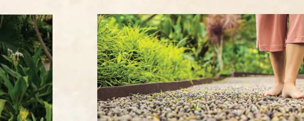 Purva Star Reach reflexology path in landscaped garden
